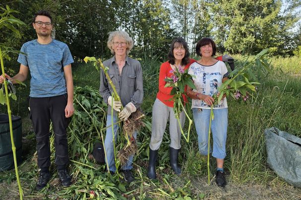 Das Team der BUND Naturschutz Ortsgruppe Rottenburg bei der Springkraut-Aktion am Eisweiher Niederhatzkofen Foto: Franz Gumplinger Arbeitsgruppe Springkraut | Bild: Franz Gumplinger