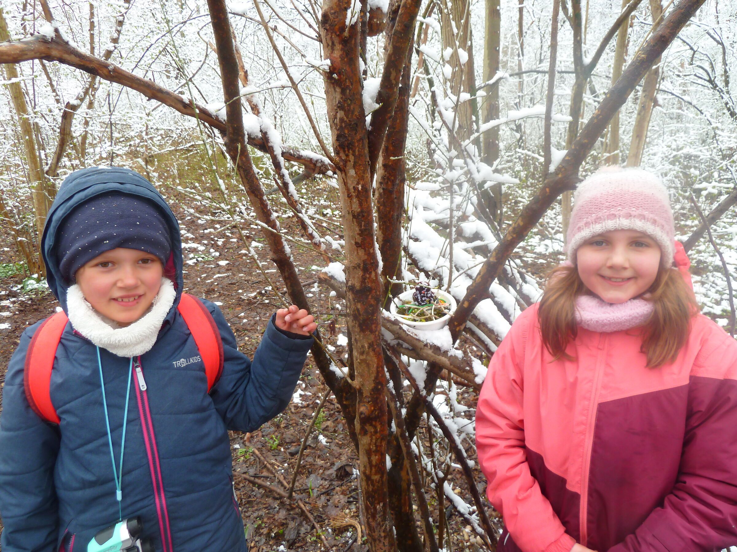 so sehen Nesterbauerinnen aus ...