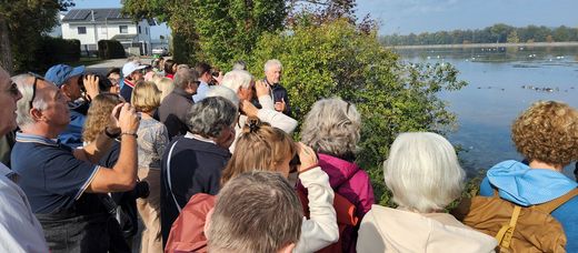 Exkursion am Eichinger Stausee - Bird Watch Day