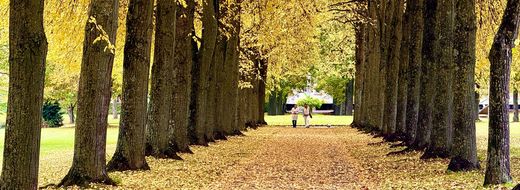 Herbstliche Baumallee