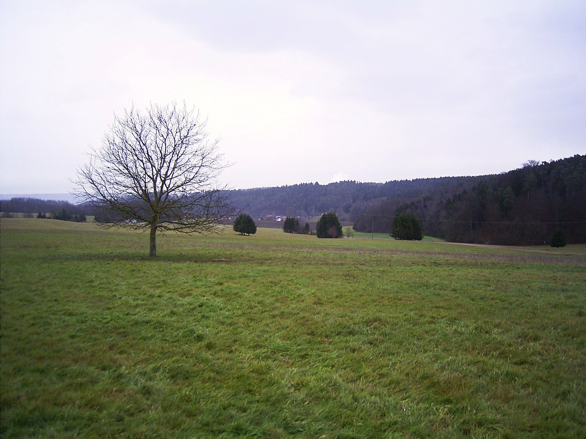 Wiesen Pacht suedl. NSG 12-2012