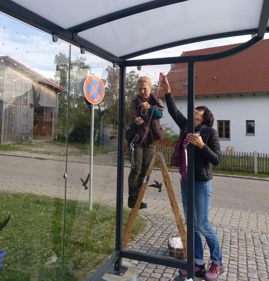 Vogelschutz, Kollisionsschutz, Aufkleber, Glasscheiben