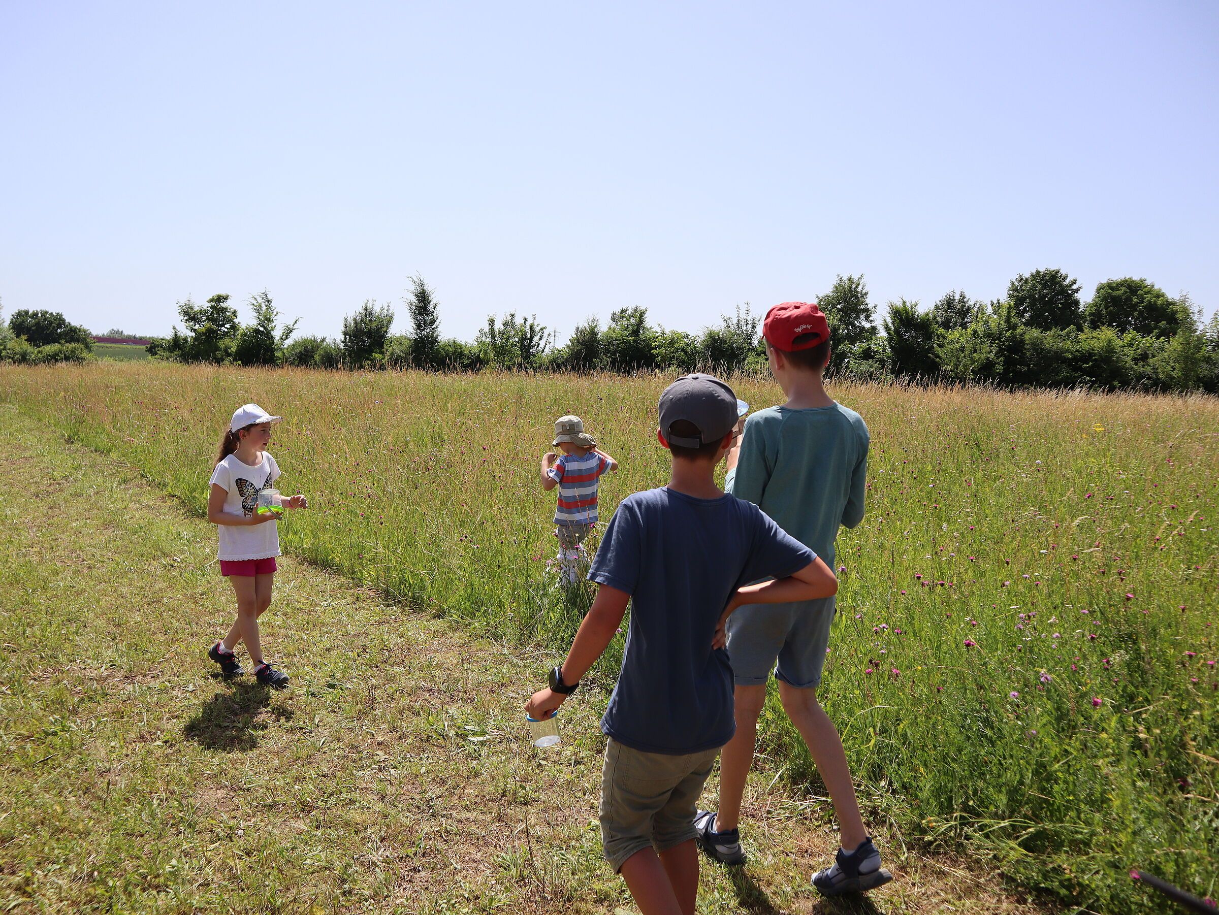 nochmal auf weißen Socken durch die Wiese ...