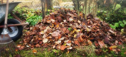 Laubhaufen Garten Herbst