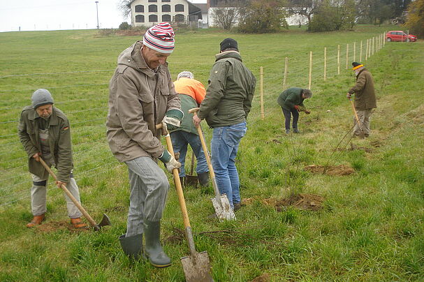 BN-Mitglieder und Ehrenamtliche pflanzen eine Hecke