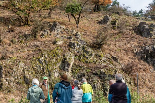Biotop von Ziegen beweidet | Bild: Heinrich Inkoferer