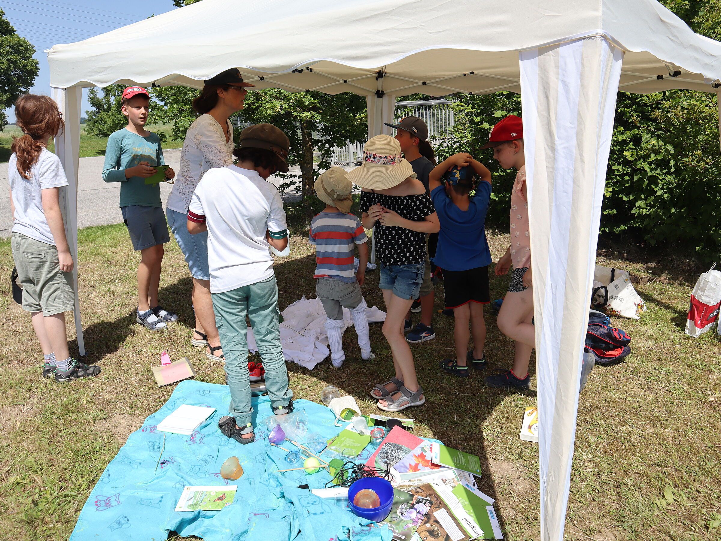 mit der Becherlupe auf Insektensuche