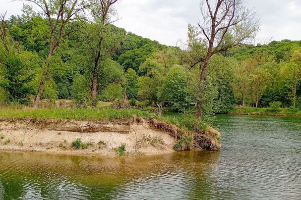 Isar Renaturierung Altwasser bei Niederaichbach