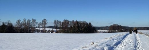 Winterwanderung OG Vilsbiburg