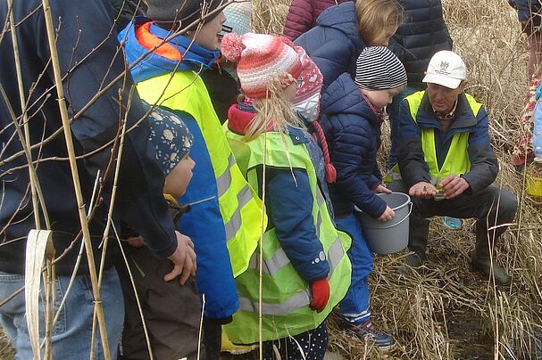 Kinder entlassen die eingesammelten Lurche in den Weiher