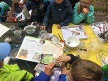 Spinnentag 2019907 9 - Selbst sind die Kinder ...