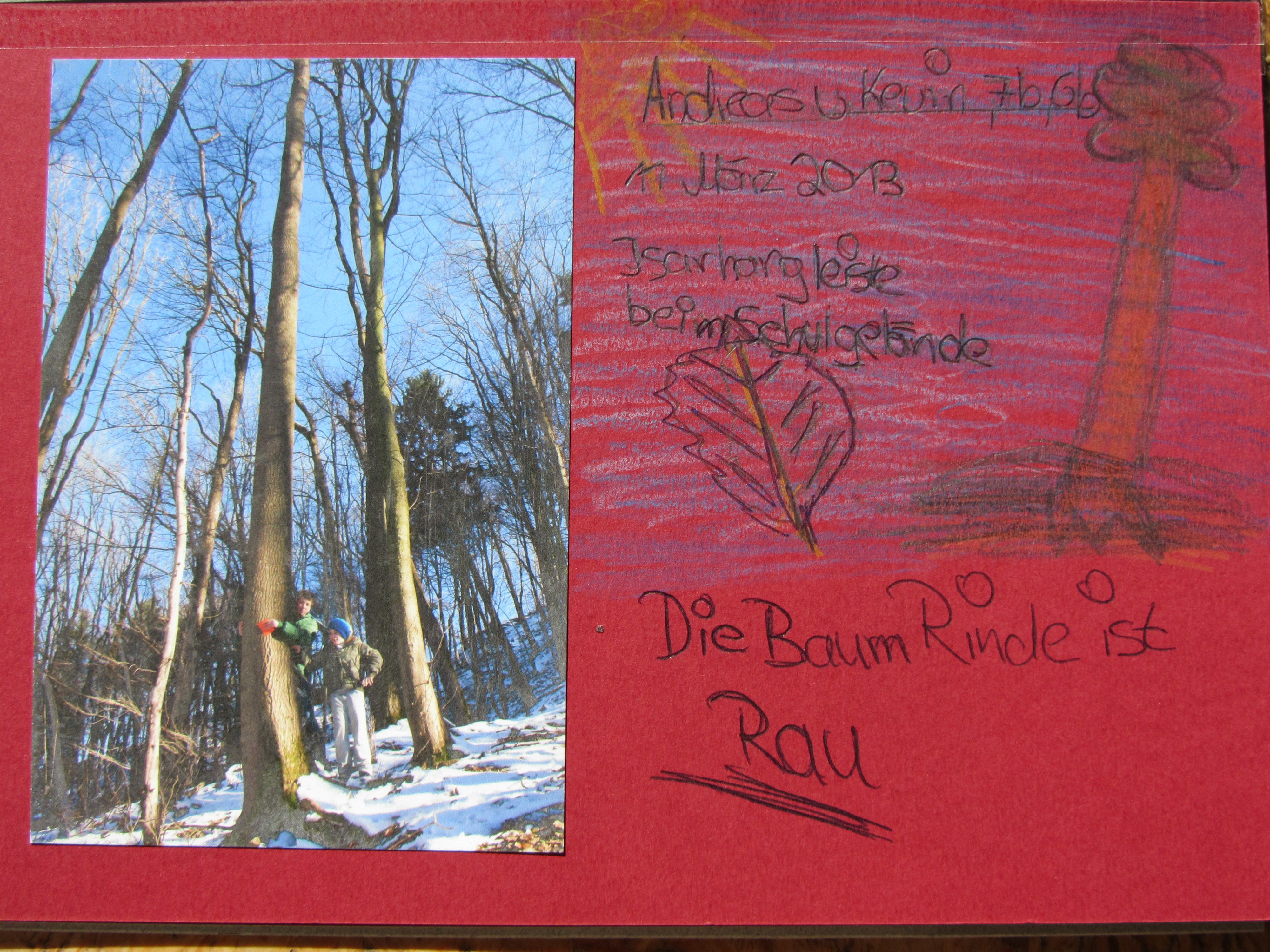 März 2013: Baumlebewesen begreifen