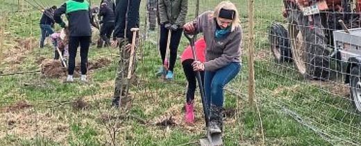 Heckenpflanzung der OG Vilsheim