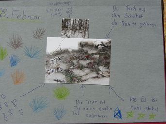 Februar 2013: Beobachtungen am Teich