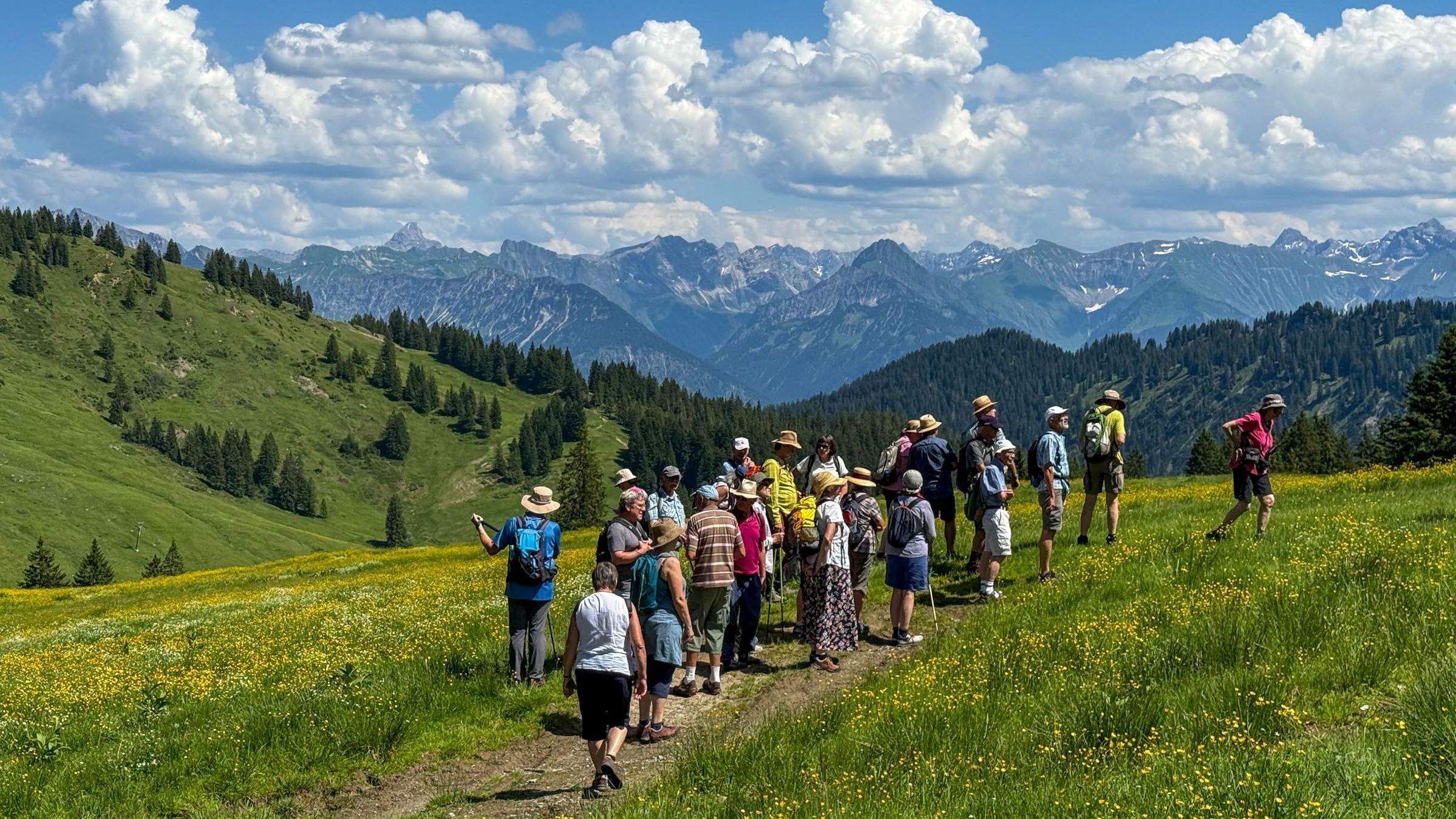 Almwiesen Riedberger Horn
