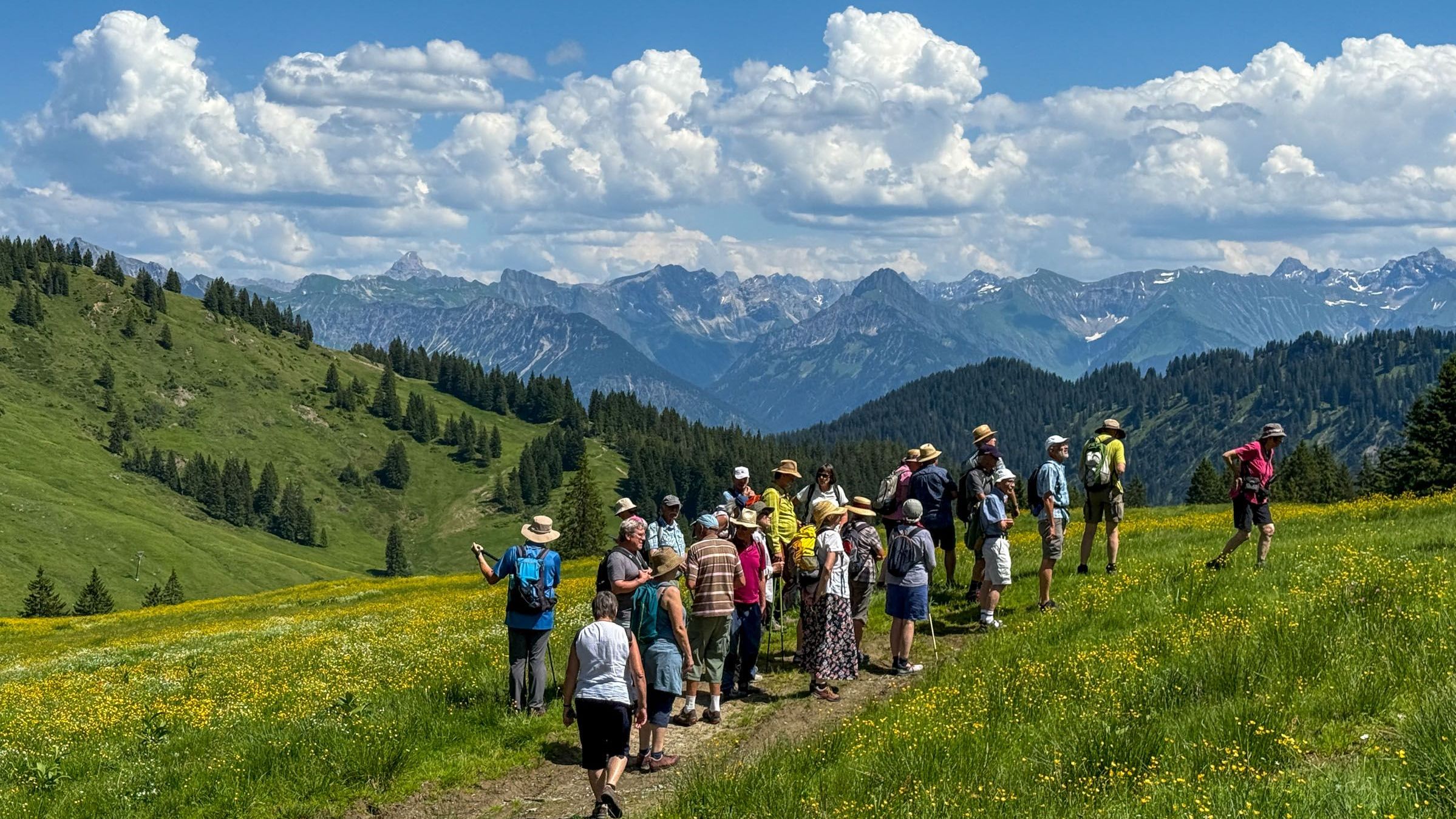Almwiesen Riedberger Horn