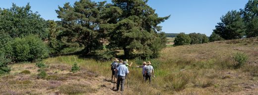 Sandharlander Heide, Quellteich
