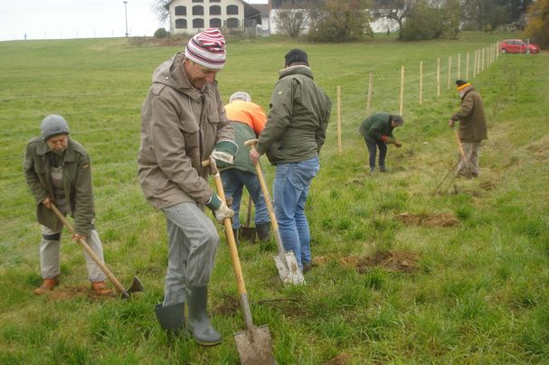 BN-Mitglieder und weitere Helfer pflanzen eine Hecke – Foto BN