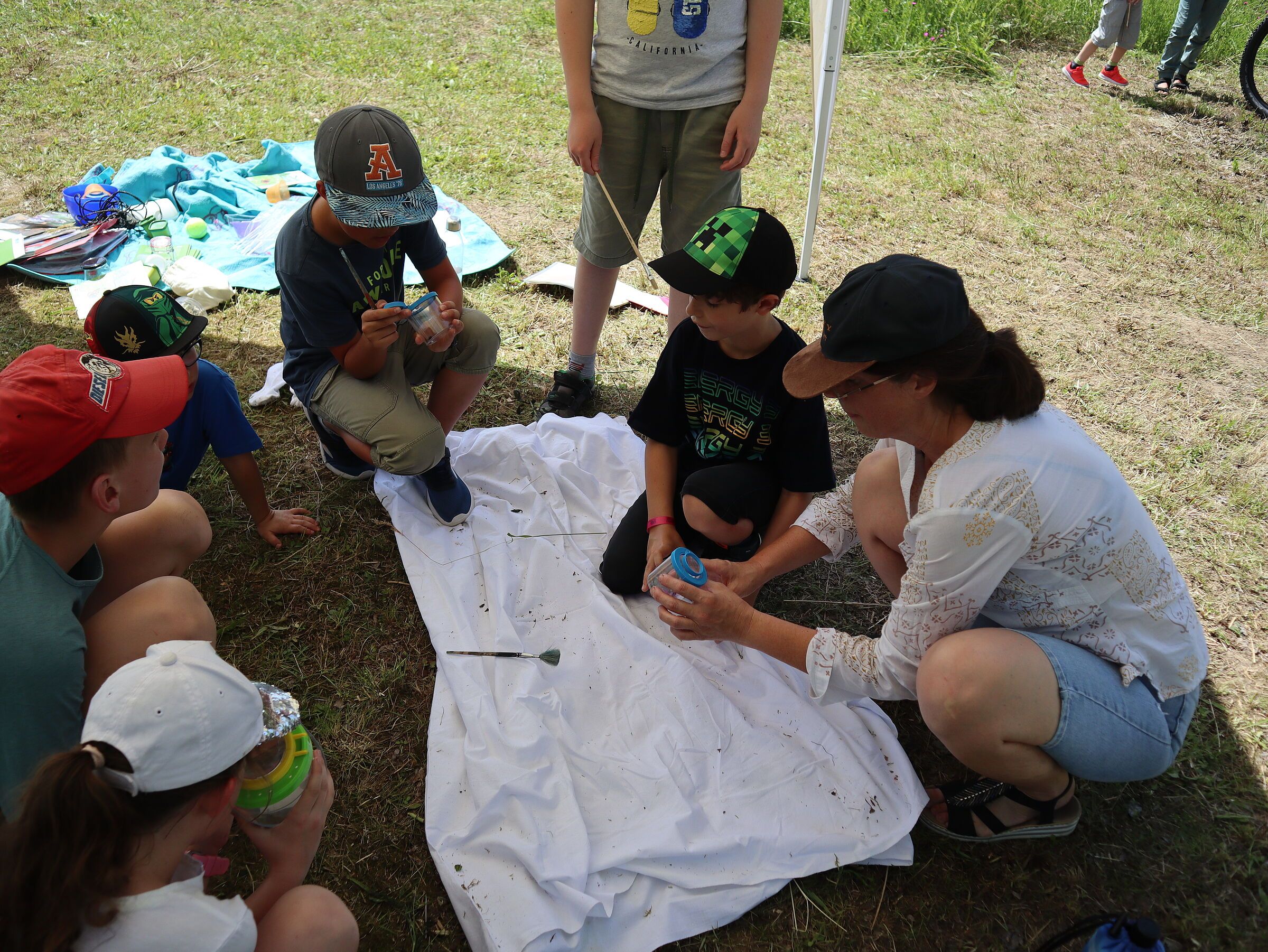 ... die Insektensuchergebnisse ...