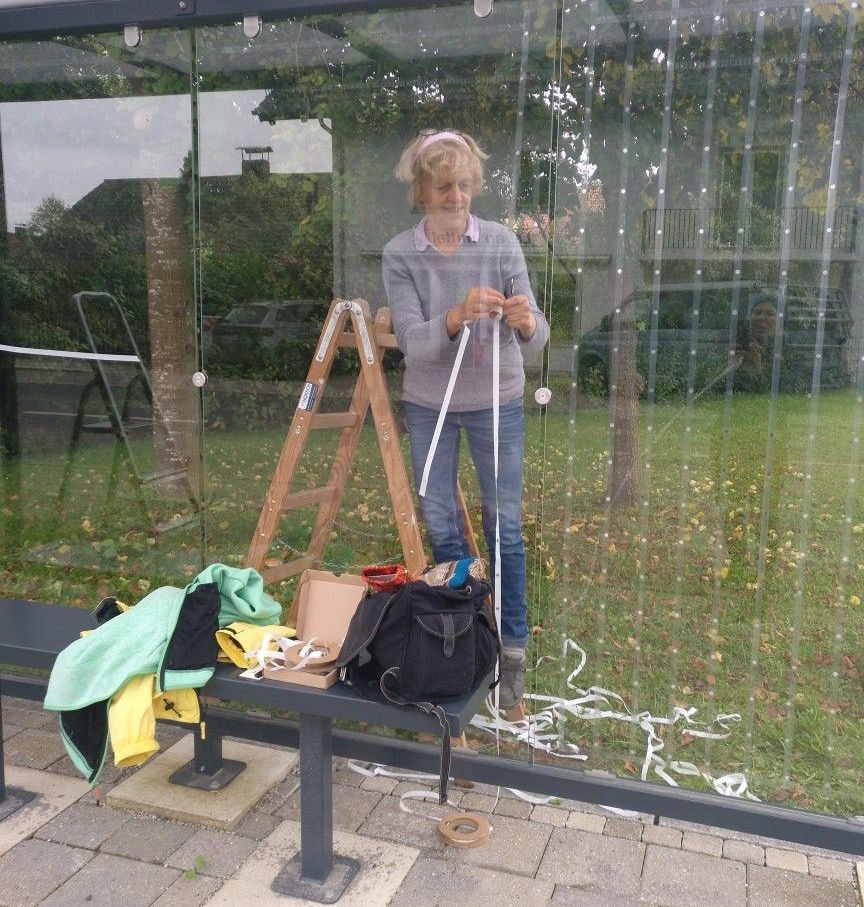 Vogelschutz, Kollisionsschutz, Aufkleber, Glasscheiben