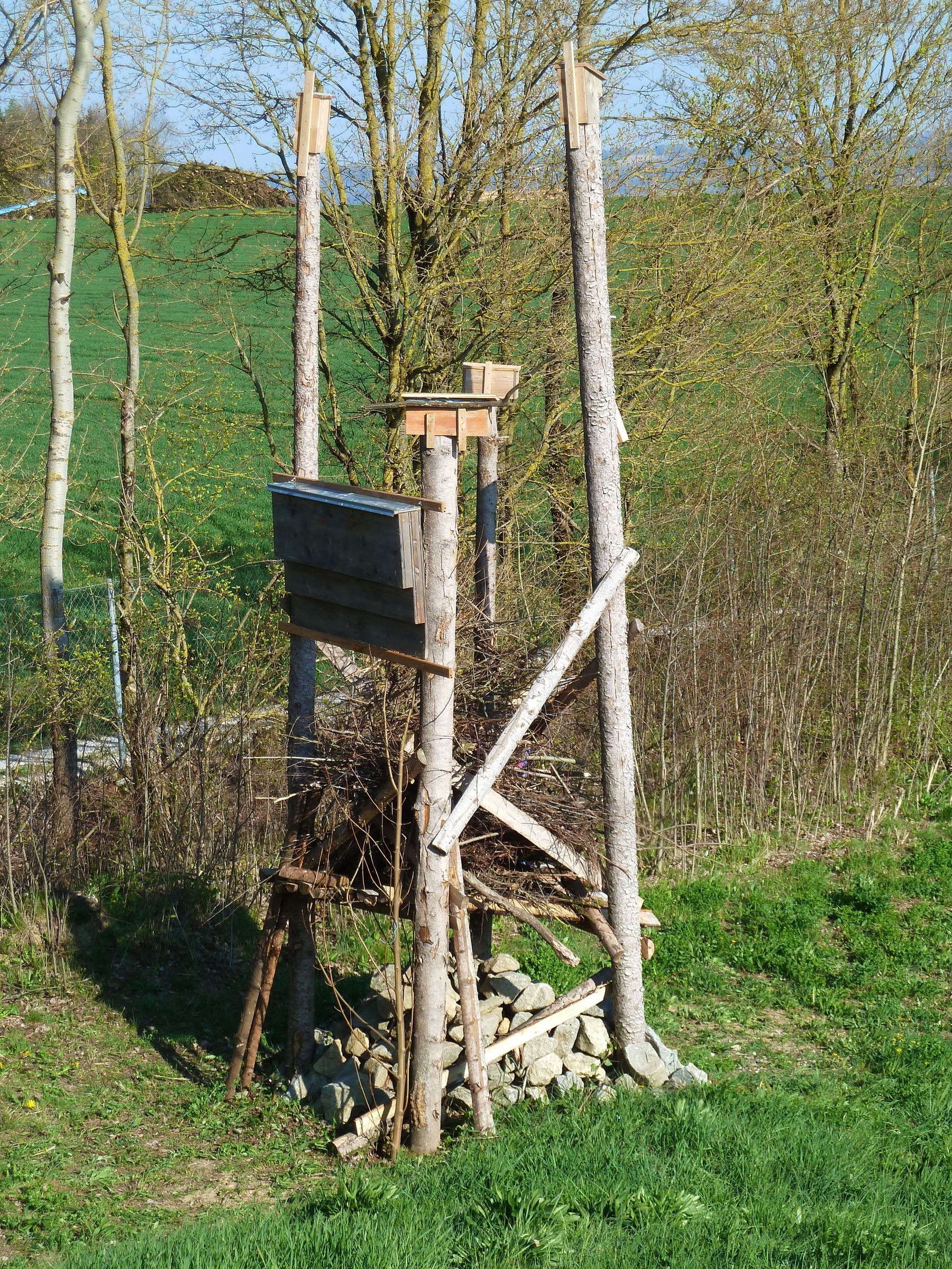 Lebensturm in Spitzlberg 1