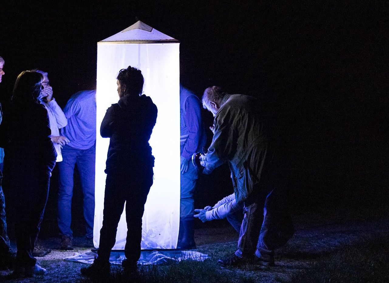 An der Lichtquelle. Foto: Johannes Selmansberger An der Lichtquelle. Foto: Johannes Selmansberger