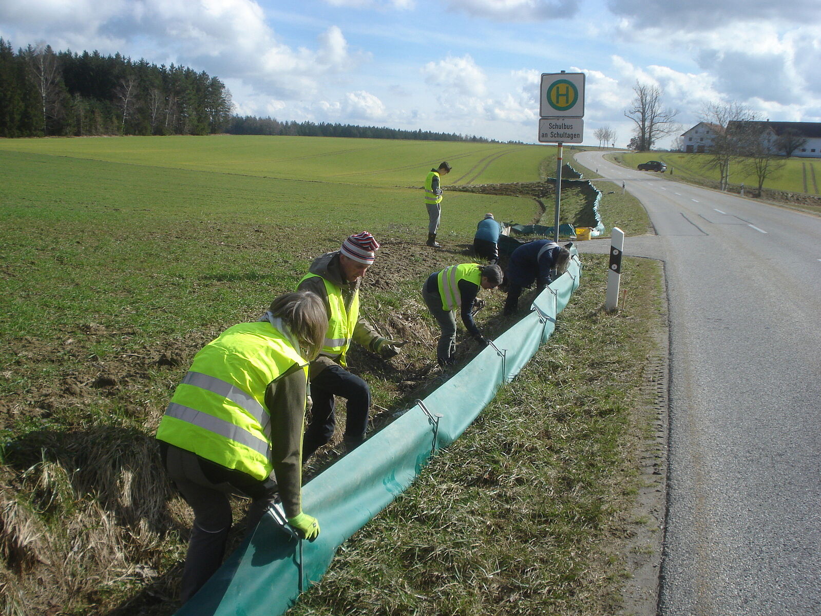 N-Mitglieder und Ehrenamtliche retten Lurche vor dem Straßentod durch den jährlichen Bau von Amphibienschutzzäunen