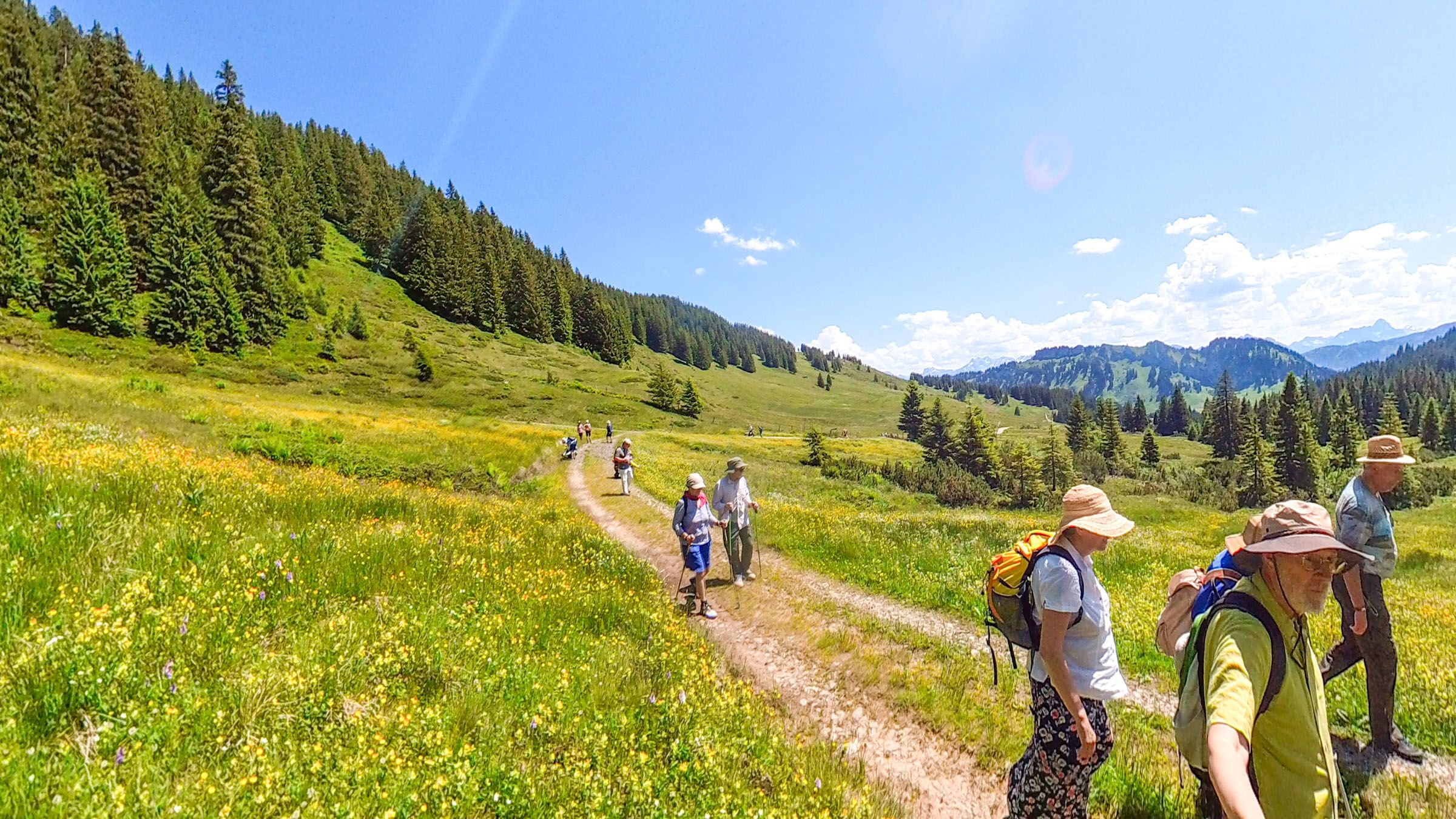 Almwiesen am Riedberger Horn