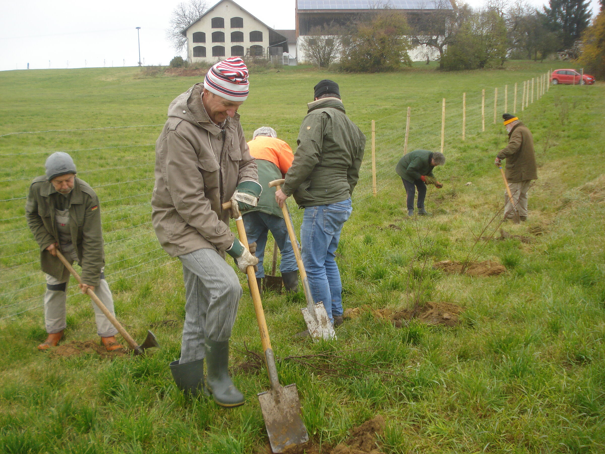 BN-Mitglieder und Ehrenamtliche pflanzen eine Hecke