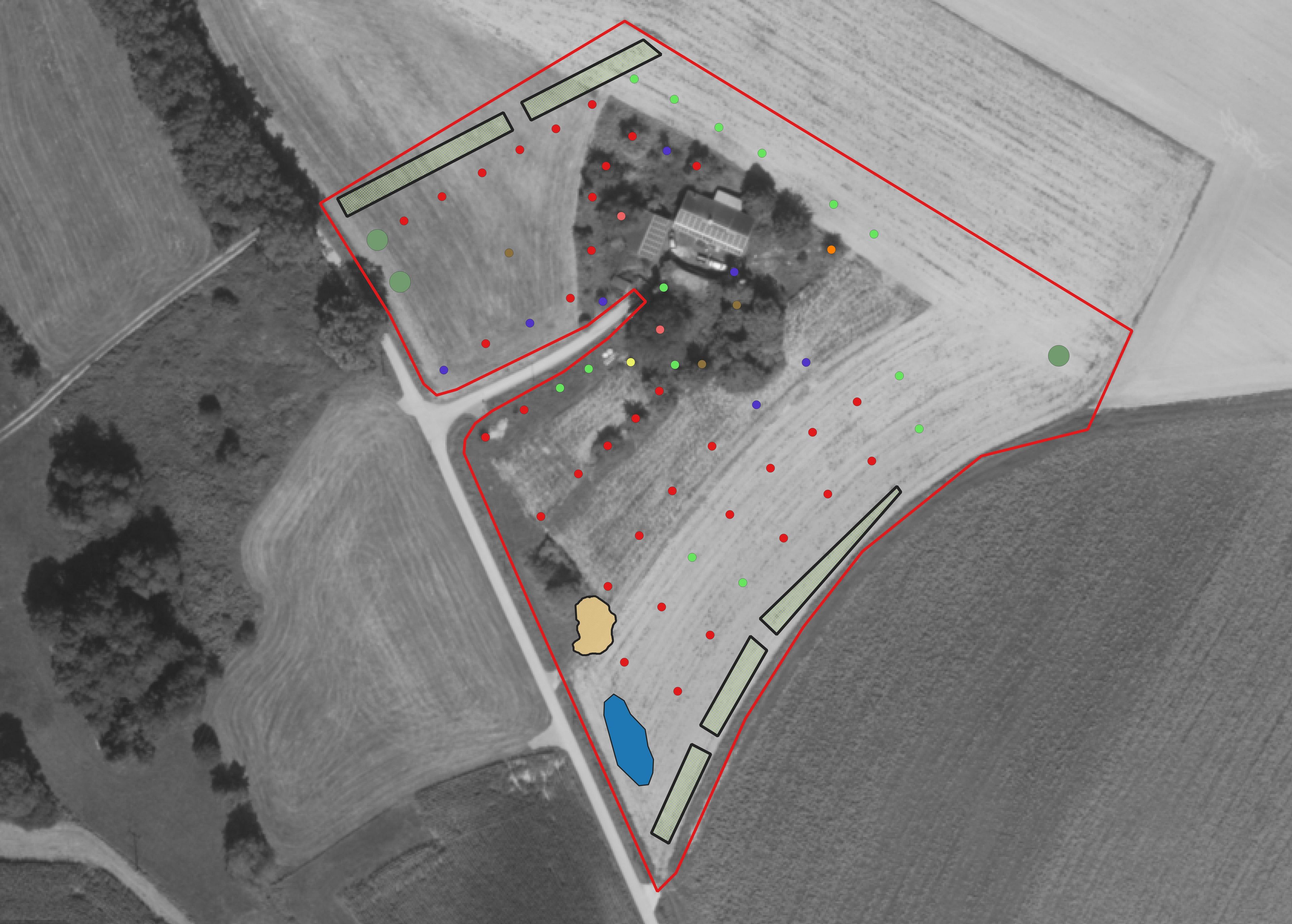 Umgesetzte und geplante Maßnahmen zur Biodiversitäts-Förderung in Kleinwieskatzing 3 Umgesetzte und geplante Maßnahmen zur Biodiversitäts-Förderung in Kleinwieskatzing 3