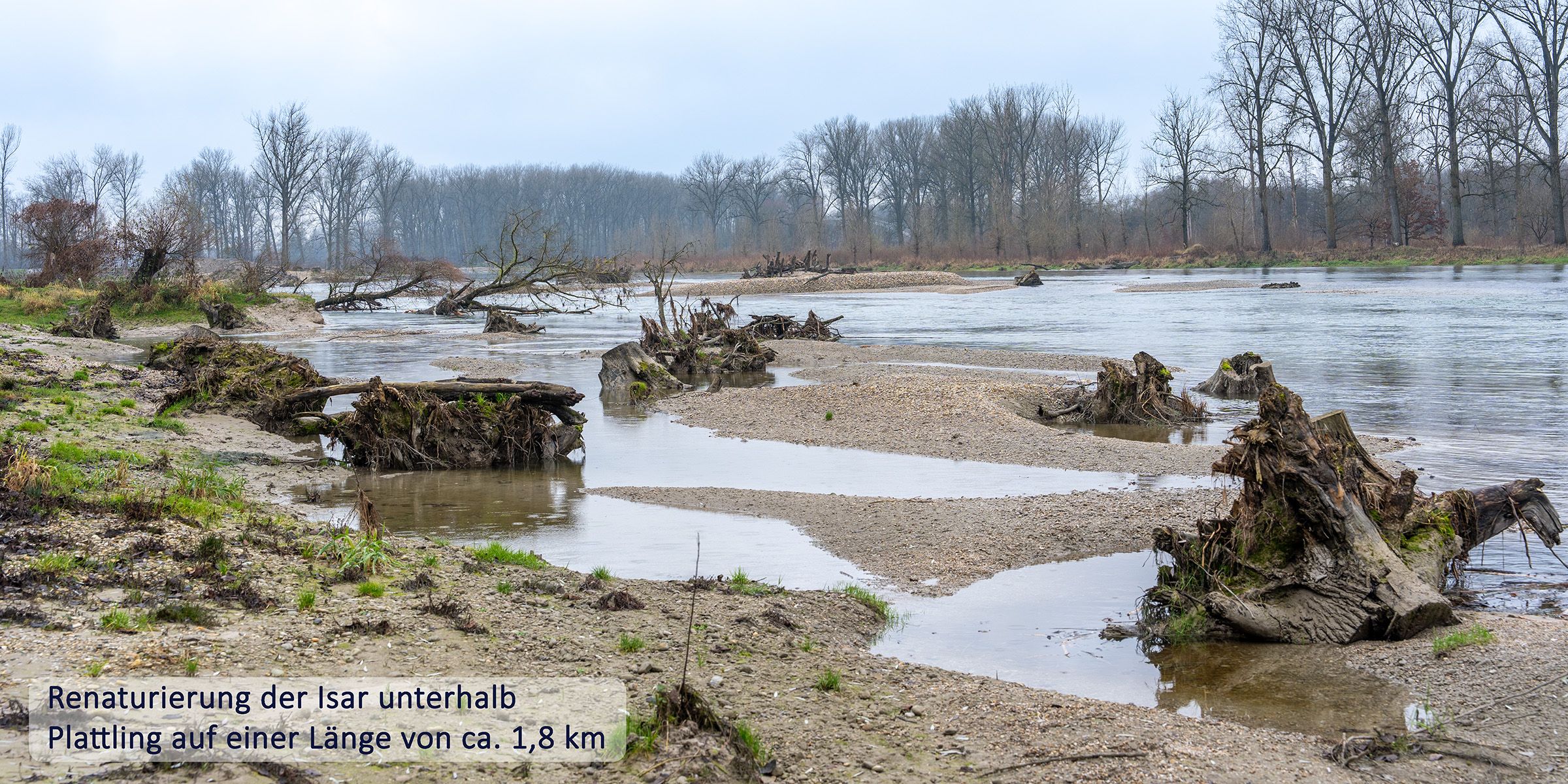 Isar Renaturierung Plattling 