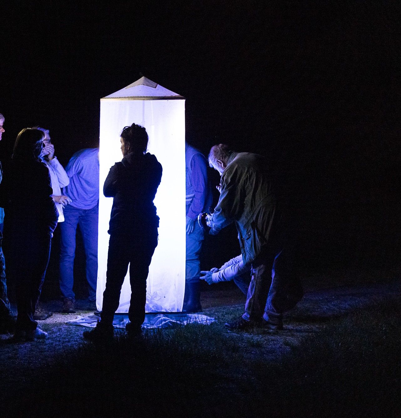 An der Lichtquelle. Foto: Johannes Selmansberger