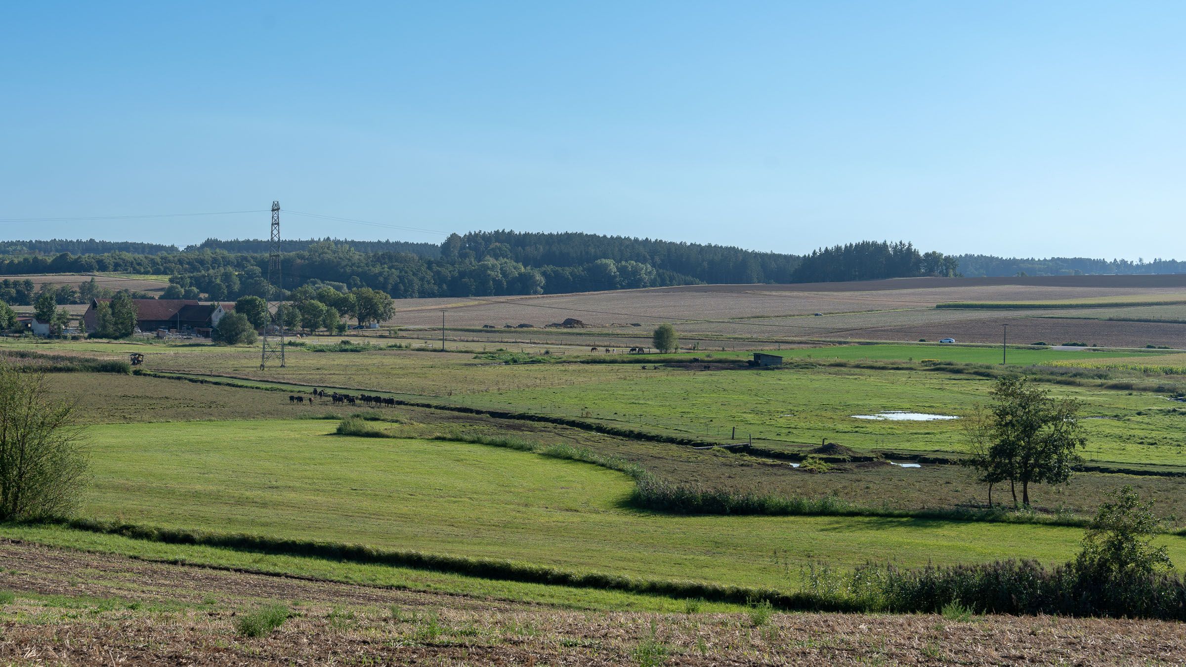 Weidegebiet der Wasserbüffel um die Große Laber bei Rottenburg | Bild: Heinrich Inkoferer Weidegebiet der Wasserbüffel im Tal der Großen Laber bei Rottenburg