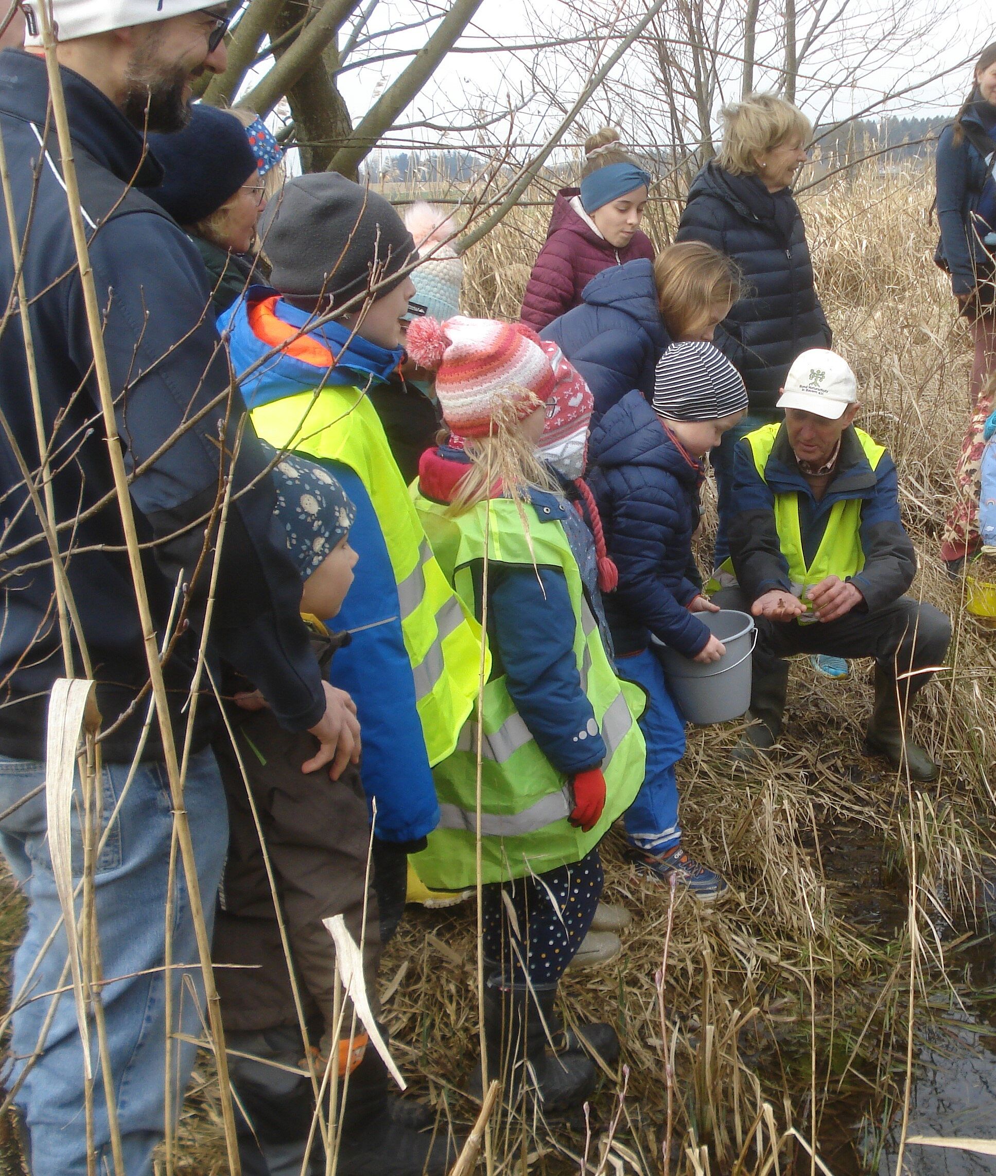 Kinder entlassen die eingesammelten Lurche in den Weiher