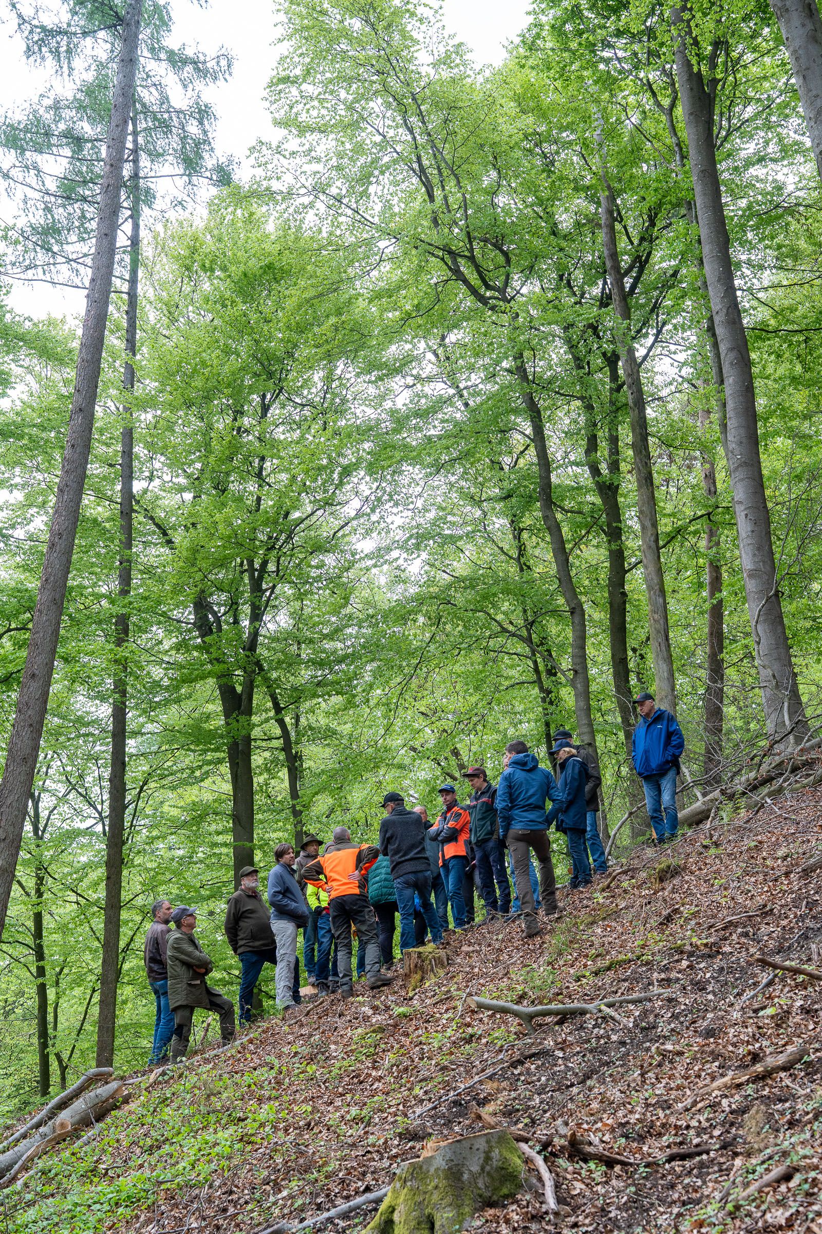 Teilehmergruppe in der steilen Isarhangleite | Bild: Heinrich Inkoferer Exkursionsteilnehmende stehen in der steilen Isarhangleite