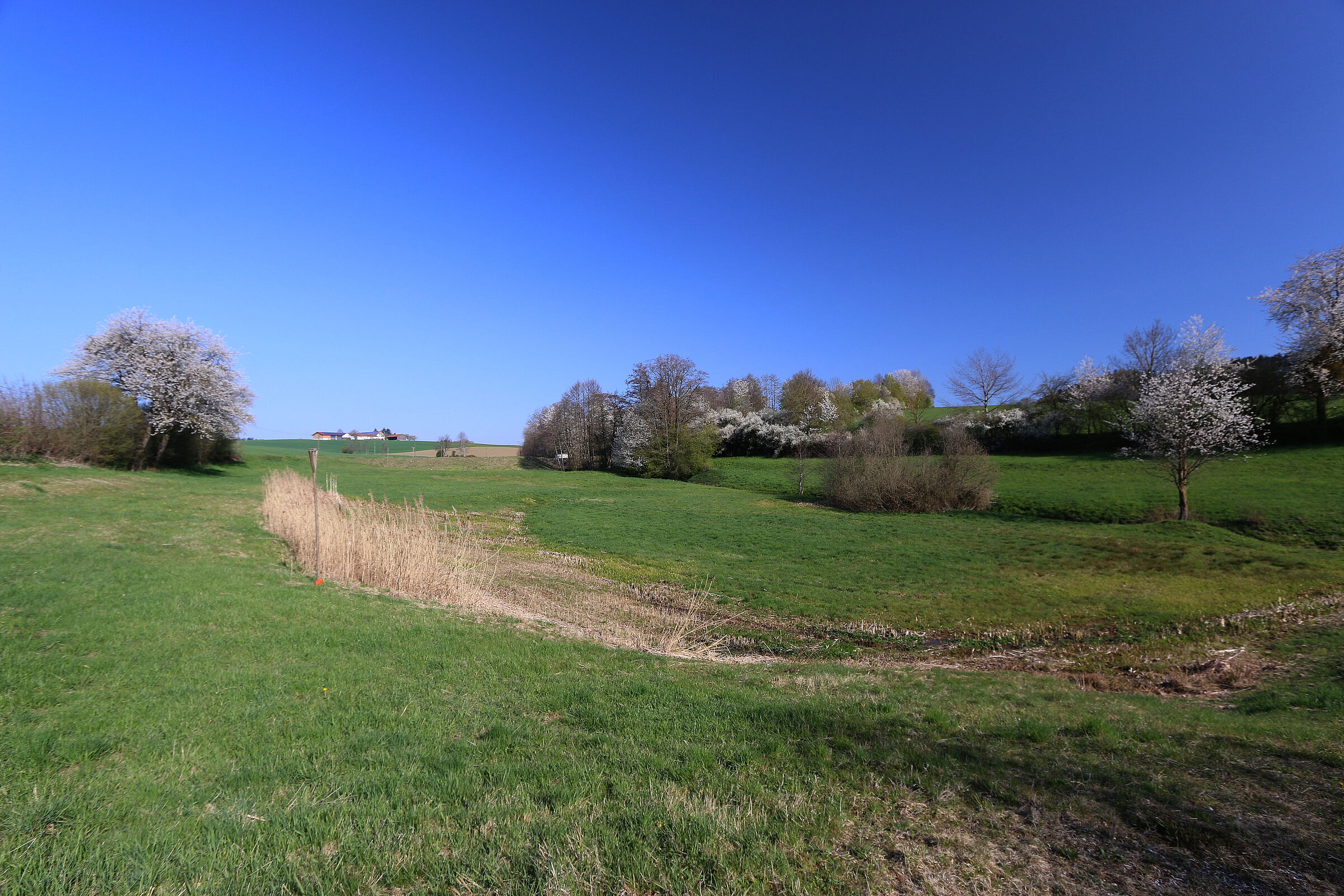 Bruckberg / Gündlkofen BUND Naturschutz in Bayern e.V.