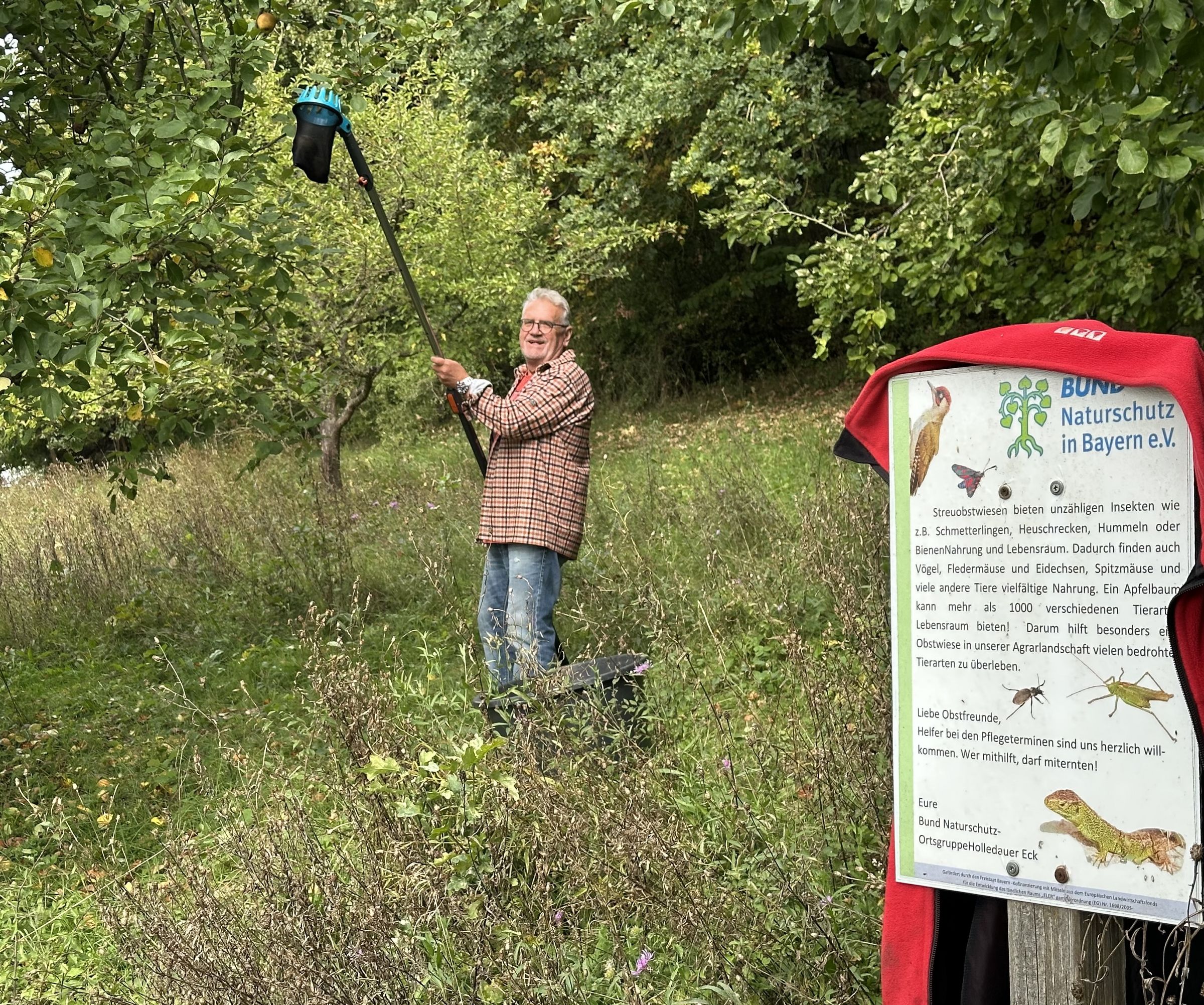 Obsternte BN Streuobstwiese |