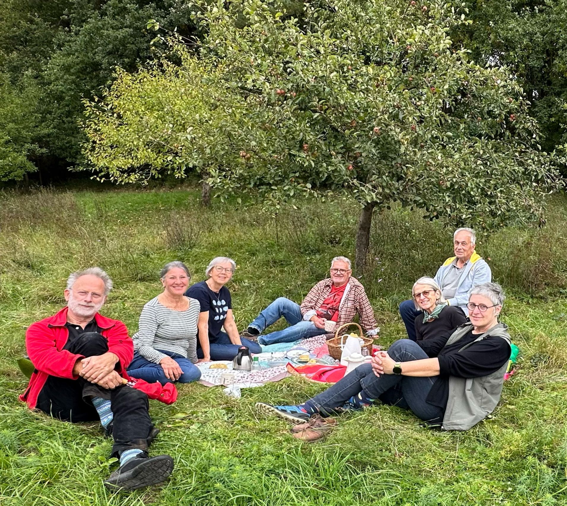 Picknick Obsternte