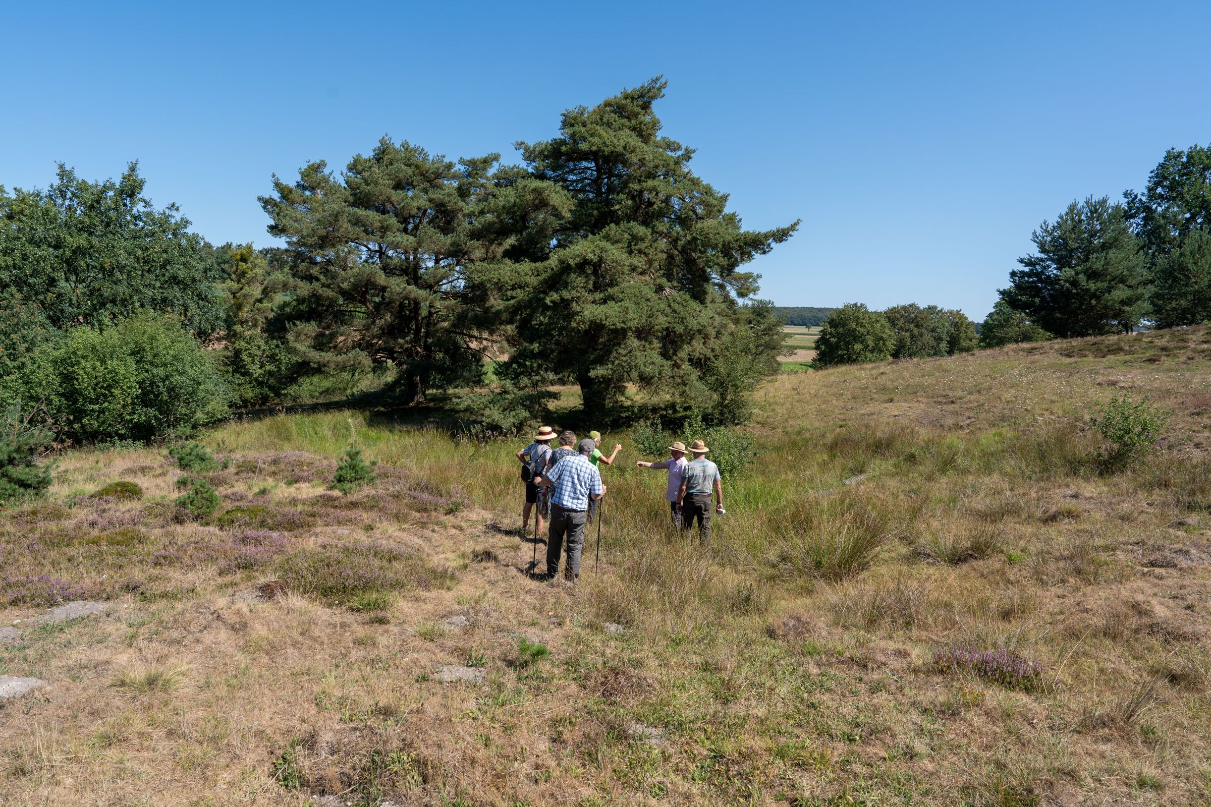 Sandharlander Heide, Quellteich