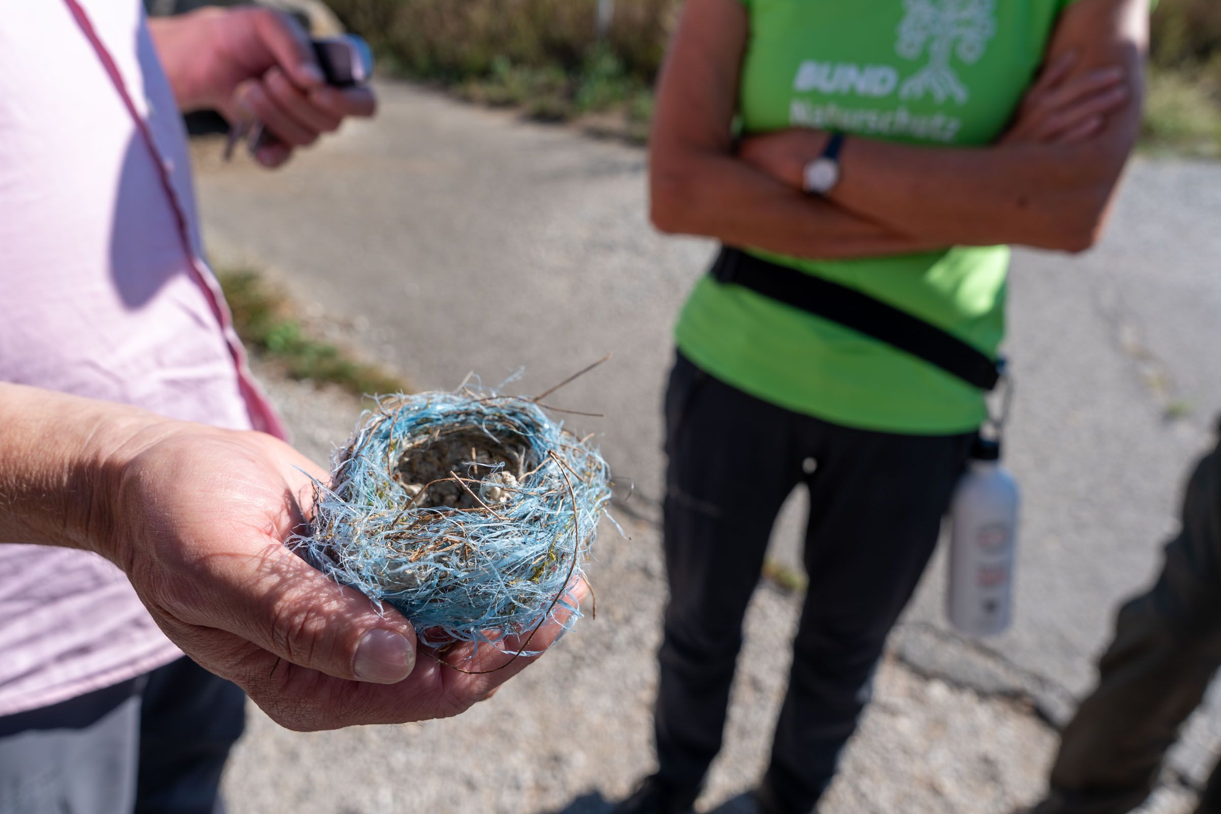 Vogelnest mit Kunstofffasern