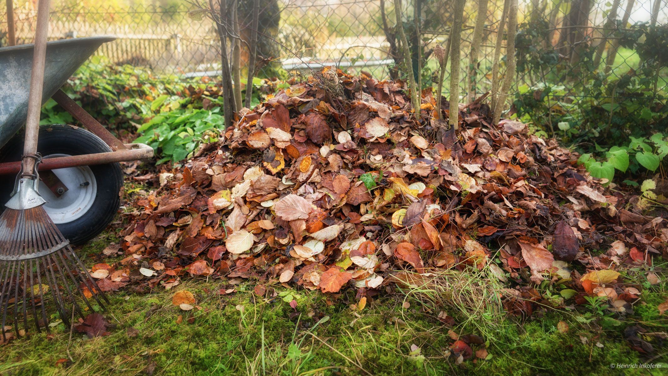 Laubhaufen Garten Herbst