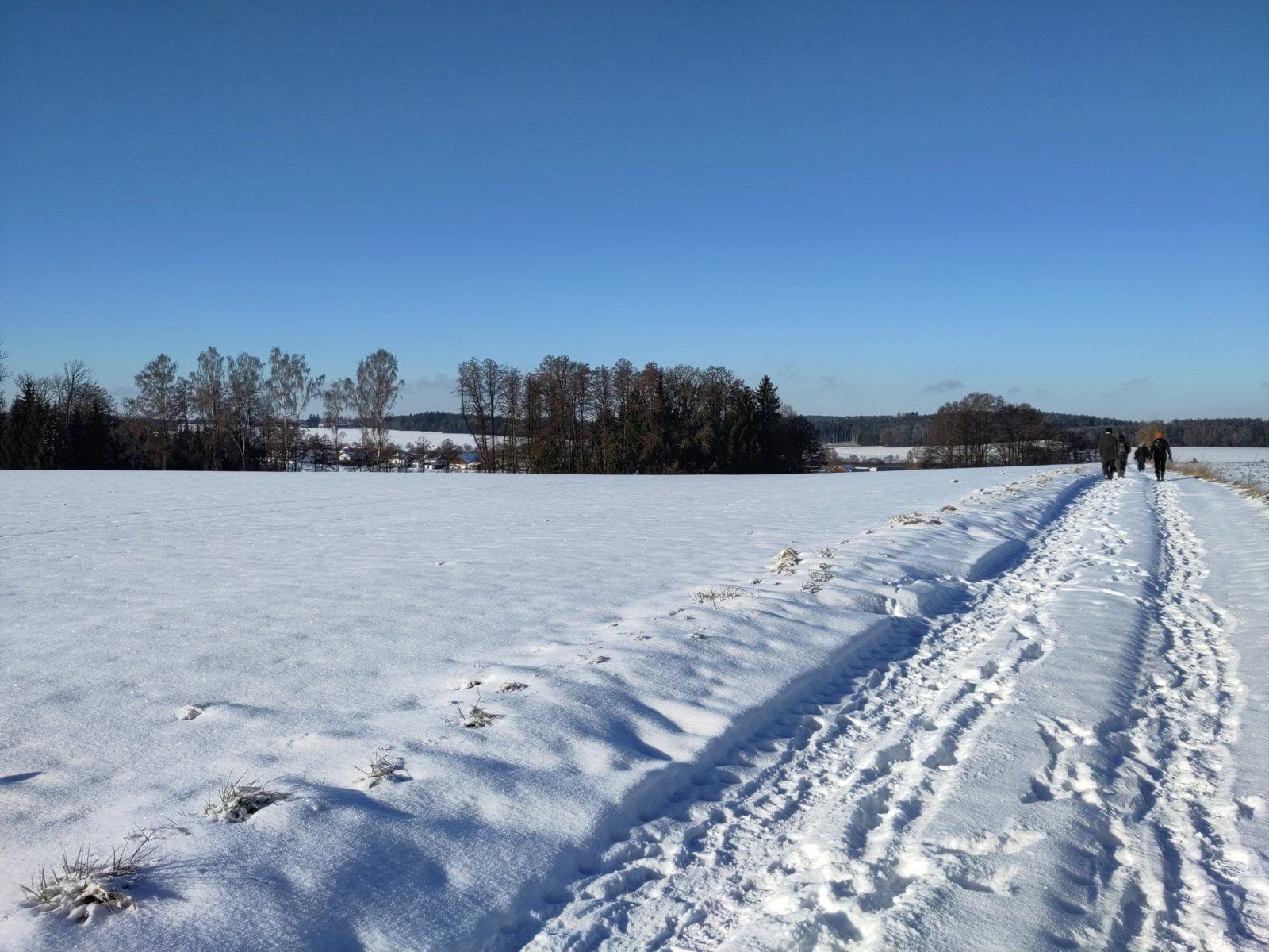 Winterwanderung OG Vilsbiburg